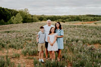 Newson Family Dogwood Spring