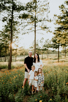 Hudson Family Dogwood Fall mini