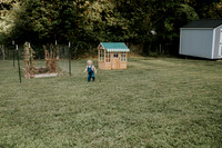 Craddock backyard